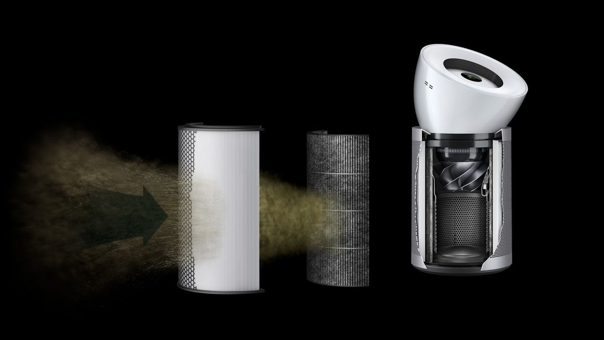 Dyson BP06 gas filtration