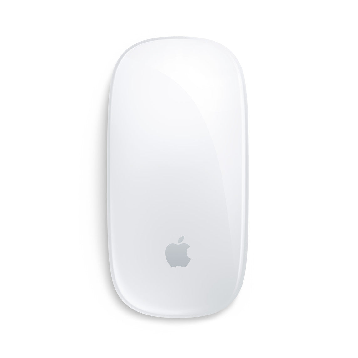 Apple Magic Mouse USB-C - أبيض