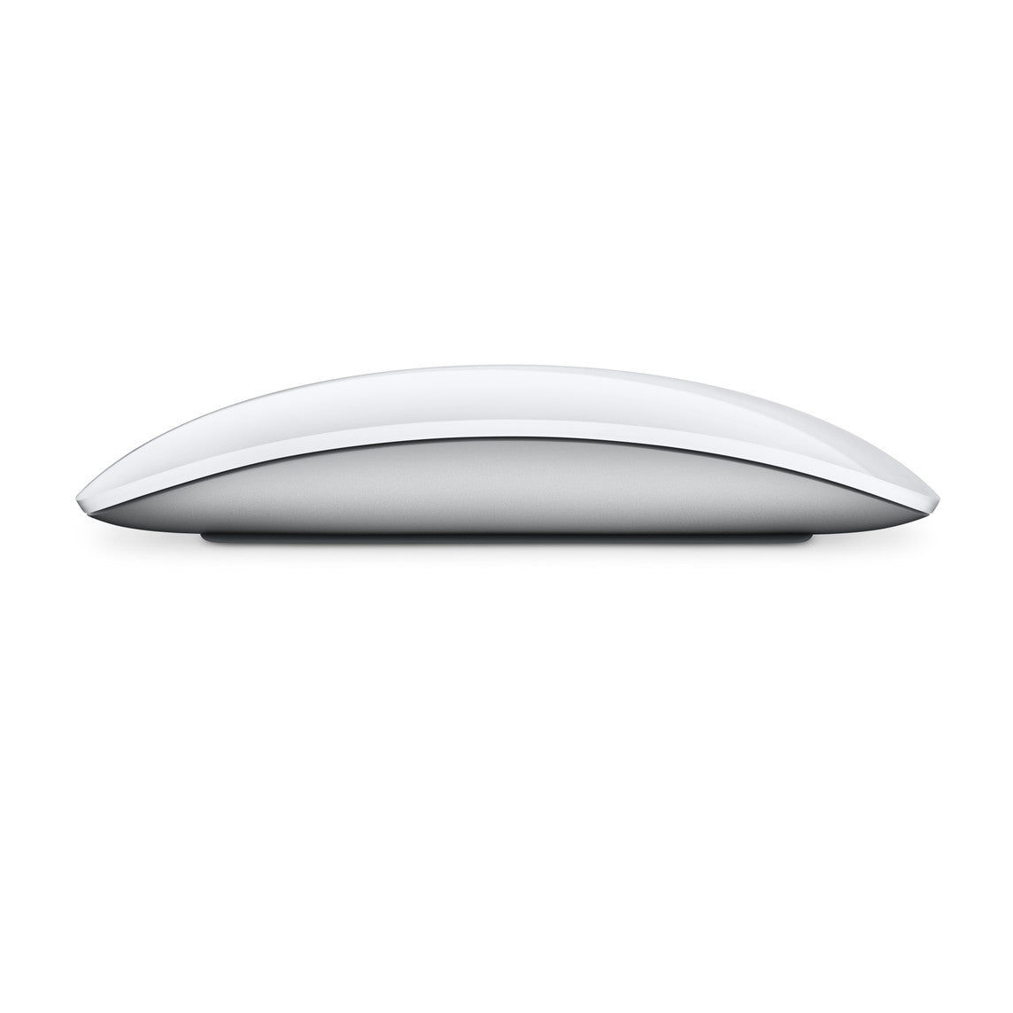 Apple Magic Mouse USB-C - أبيض
