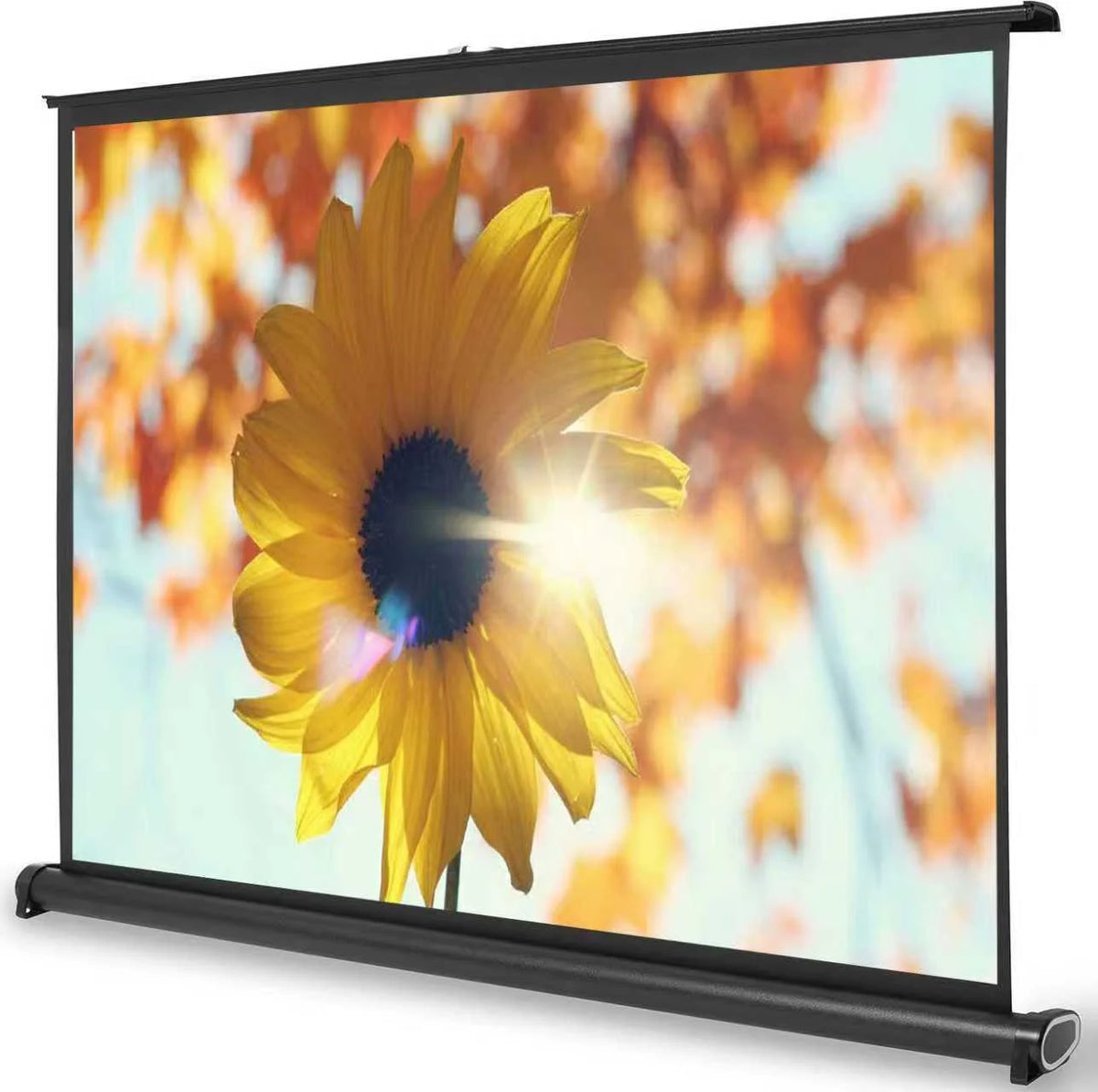 Green Lion 50"Portable Projection Screen - White – image 4