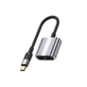 Green Lion 2 in 1 Splitter Adapter Type C to Dual Type C Gray