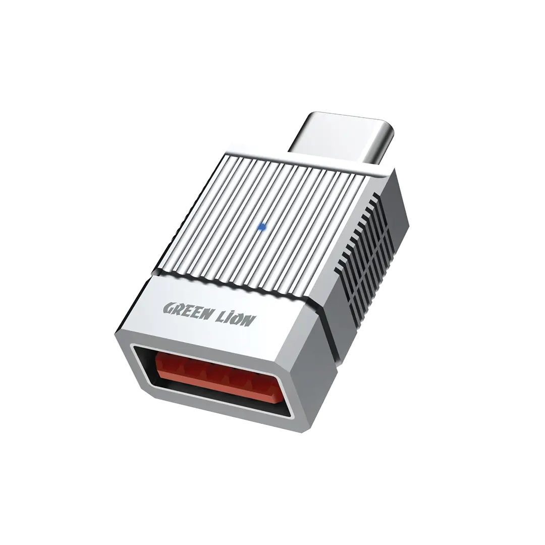 Green Lion 2 in 1 Otg Adapter USB A to USB C Gray