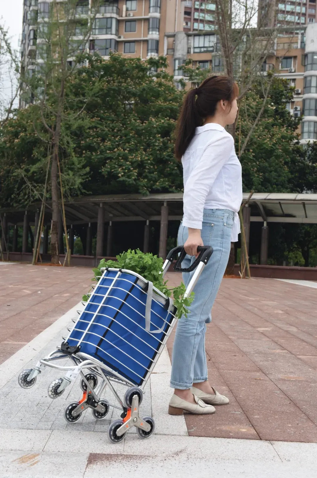 Green Lion Foldable Shopping Trolley Silver – image 7