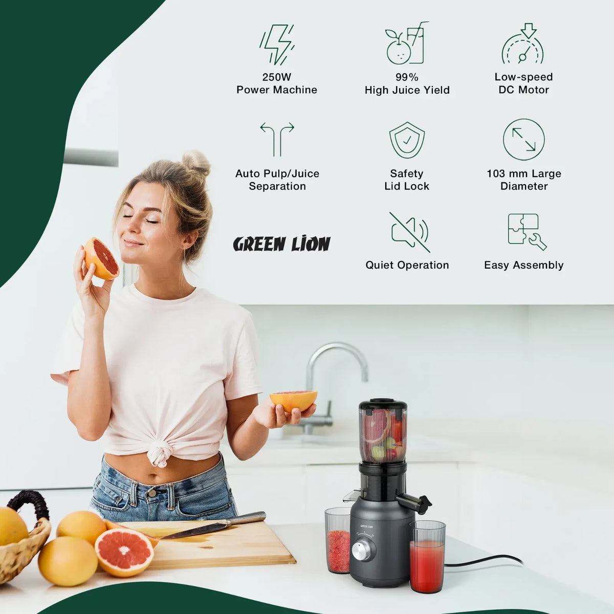 Green Lion Slow Juicer Pure Copper Motor Black – image 6